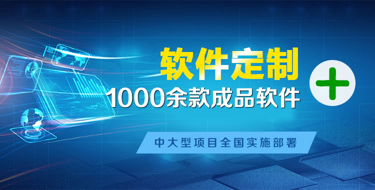 武陵软件开发